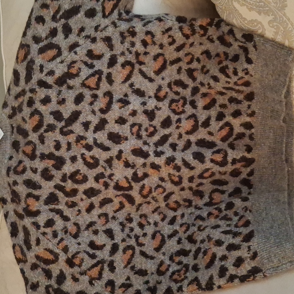 Zara Leopard Print Sweater